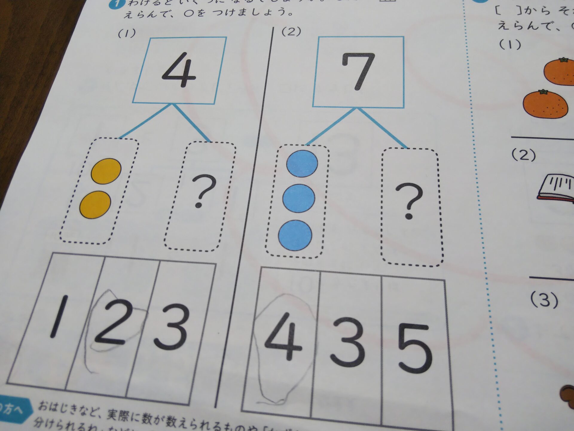 shichida_sample9